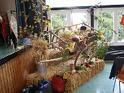 IMG_1210_006027