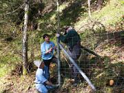 Arbeitseinsatz Oberhohenberg