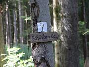 IMG_2609_067141