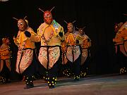IMG_2602_064797